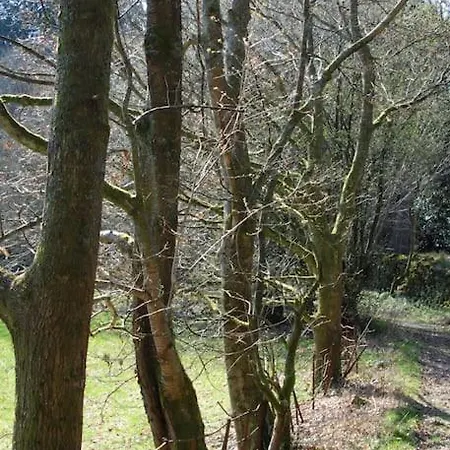 וילה Priory Manor Luxury On ווינדרמר