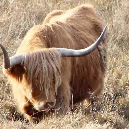 Priory Manor Luxury On * ווינדרמר