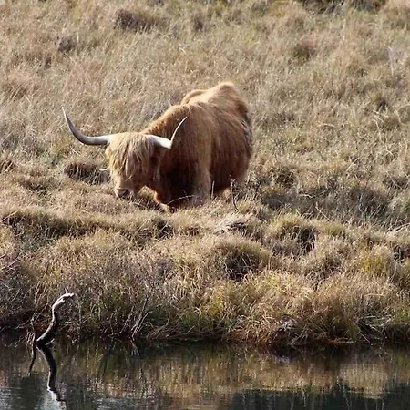 Priory Manor Luxury On