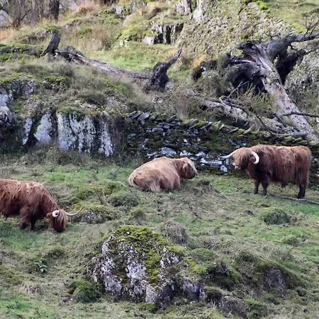 וילה Priory Manor Luxury On