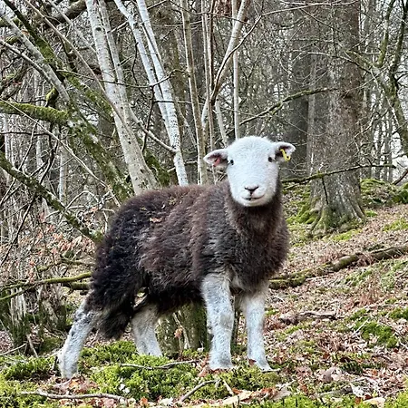 Villa Priory Manor Luxury On