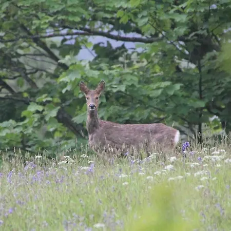 Priory Manor Luxury On Villa *